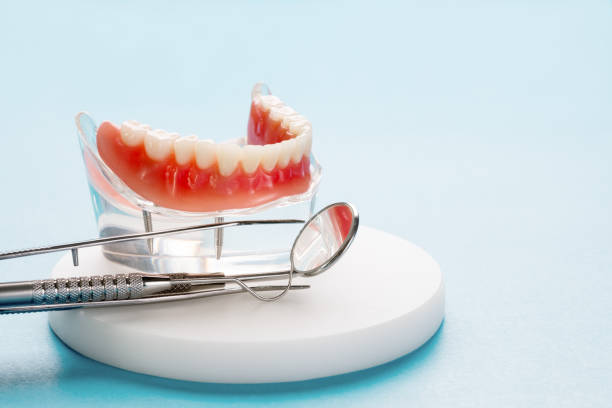 Best General Dentistry  in Gainesville, FL